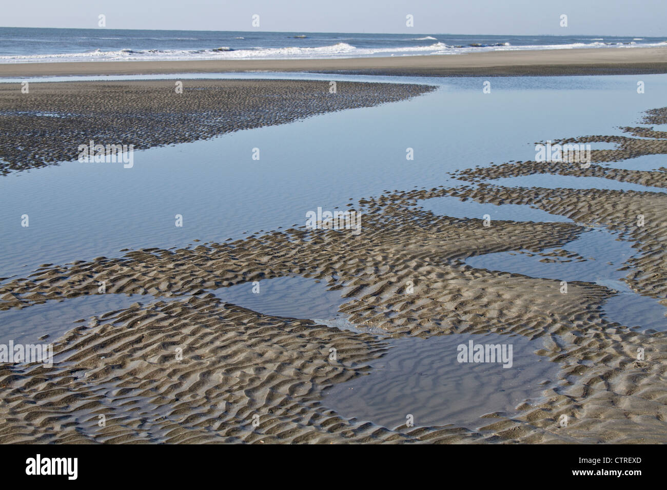 Scenic pozze di marea su una spiaggia di Isola di palme, Carolina del Sud Foto Stock