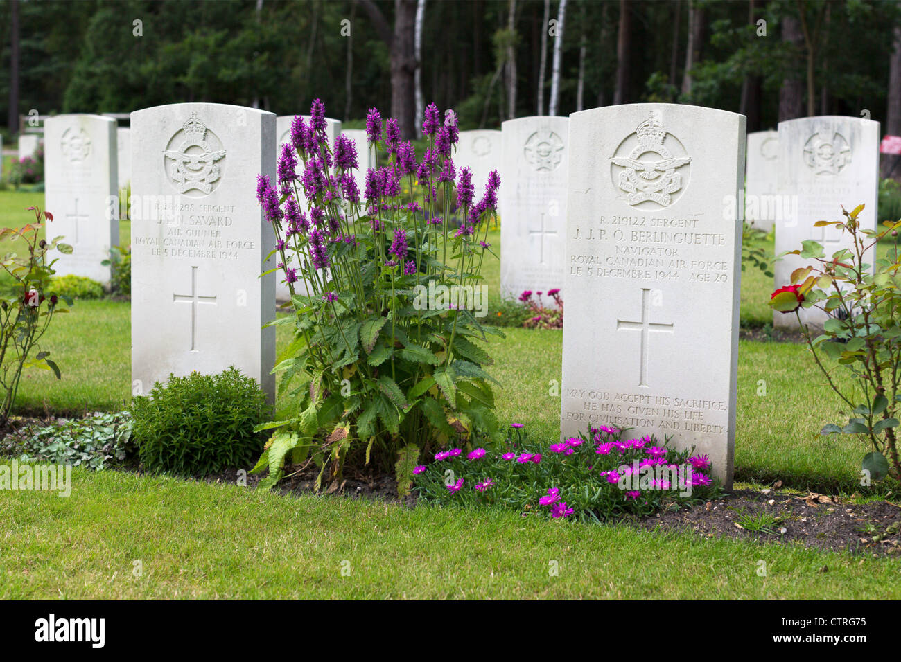 Fiori in fiore intorno al Royal Canadian Air Force militare marcatori grave a Brookwood cimitero Foto Stock