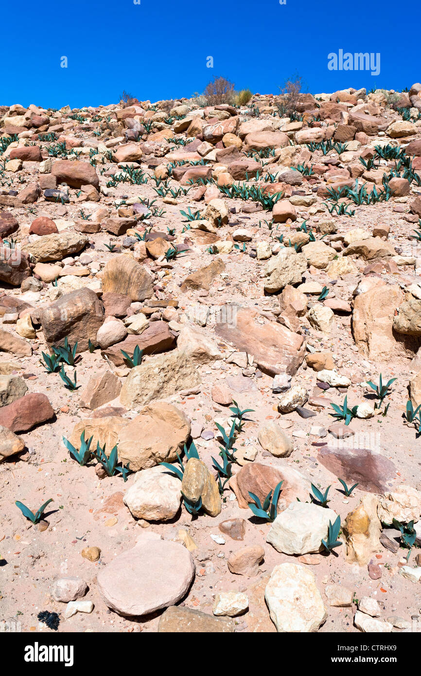 Ruderi di pietra nel deserto della valle di Petra, Giordania Foto Stock