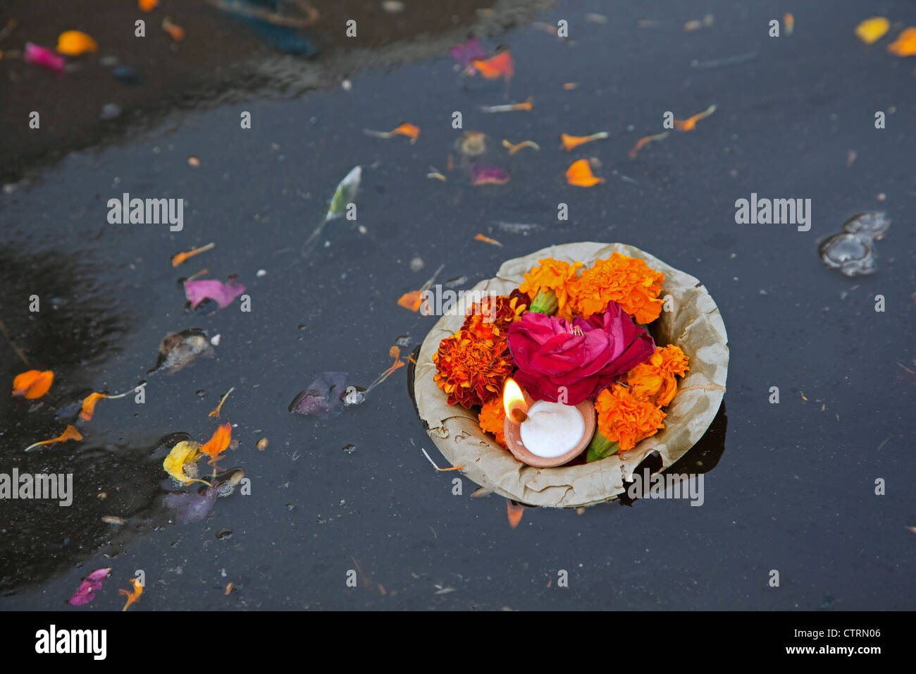 Le diverse offerte come fiori e candela galleggiante sul sacro fiume Yamuna in Mathura, Uttar Pradesh, India Foto Stock