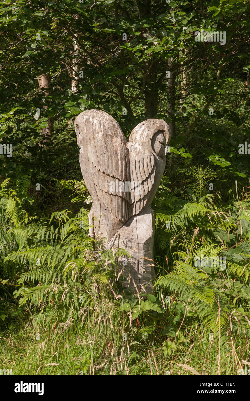 Il gufo statua scolpita in legno situato sulla Oakridge boschi a piedi vicino Staithes. Foto Stock