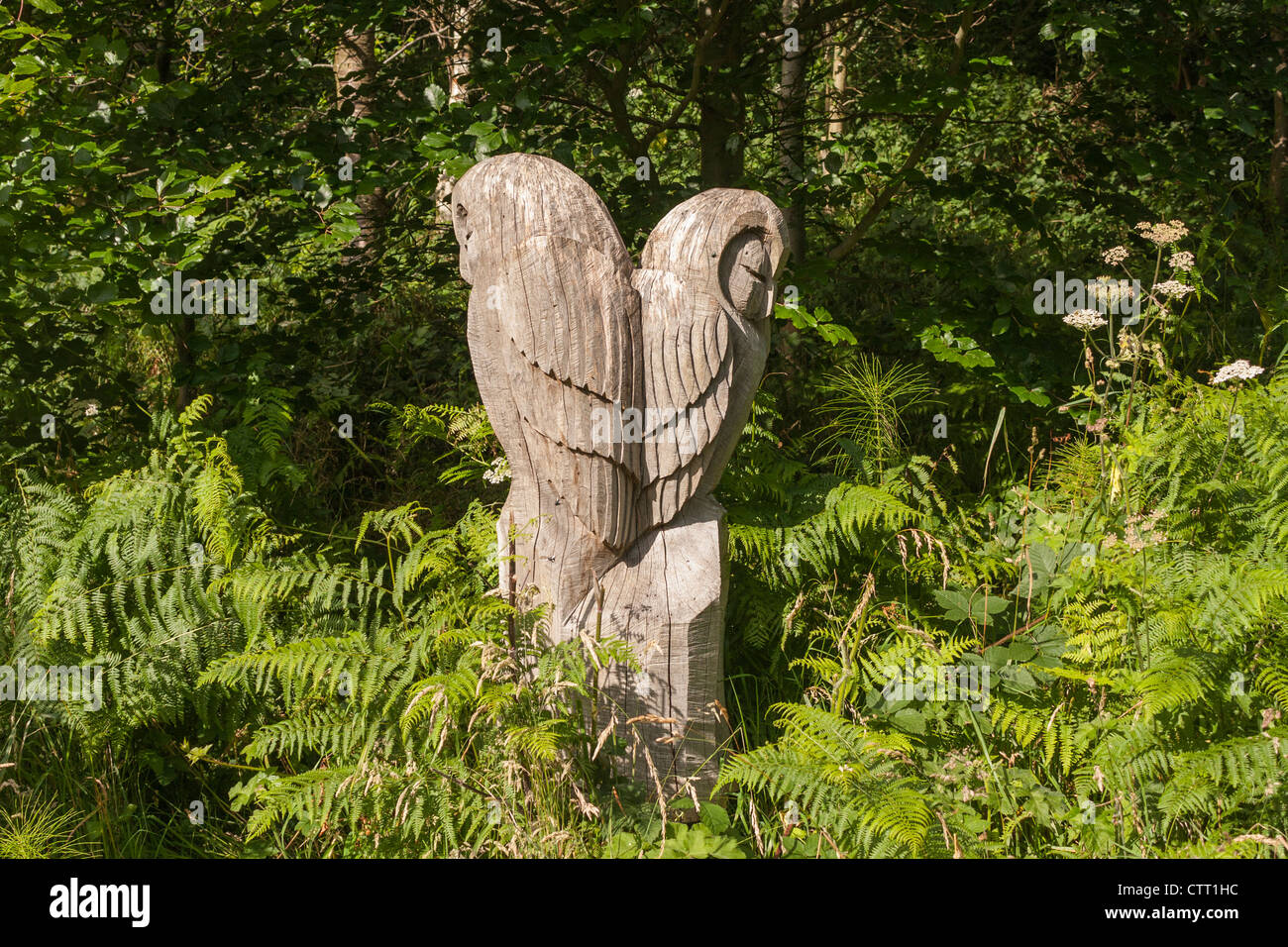 Il gufo statua scolpita in legno situato sulla Oakridge boschi a piedi vicino Staithes. Foto Stock