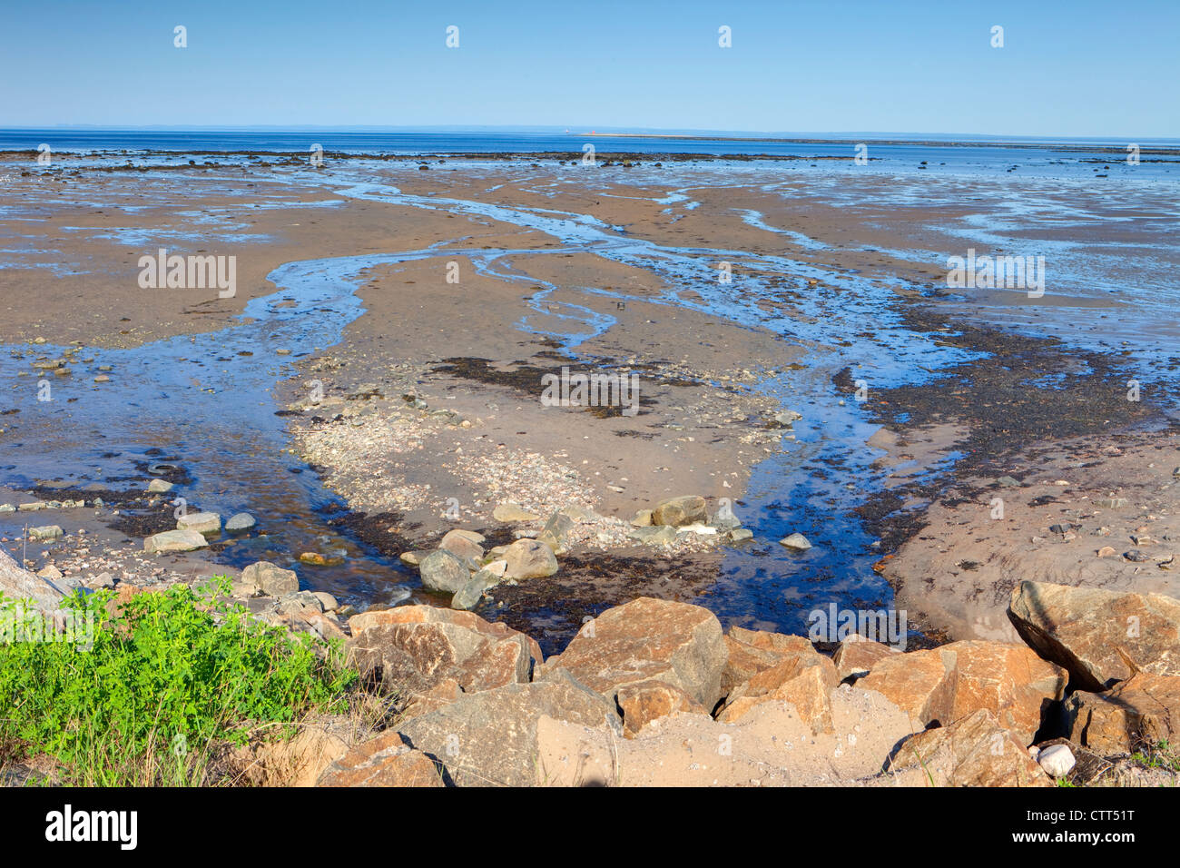 La bassa marea, Cote Nord, North Shore St Lawrence vicino a Les Escoumins, Quebec, Canada Foto Stock