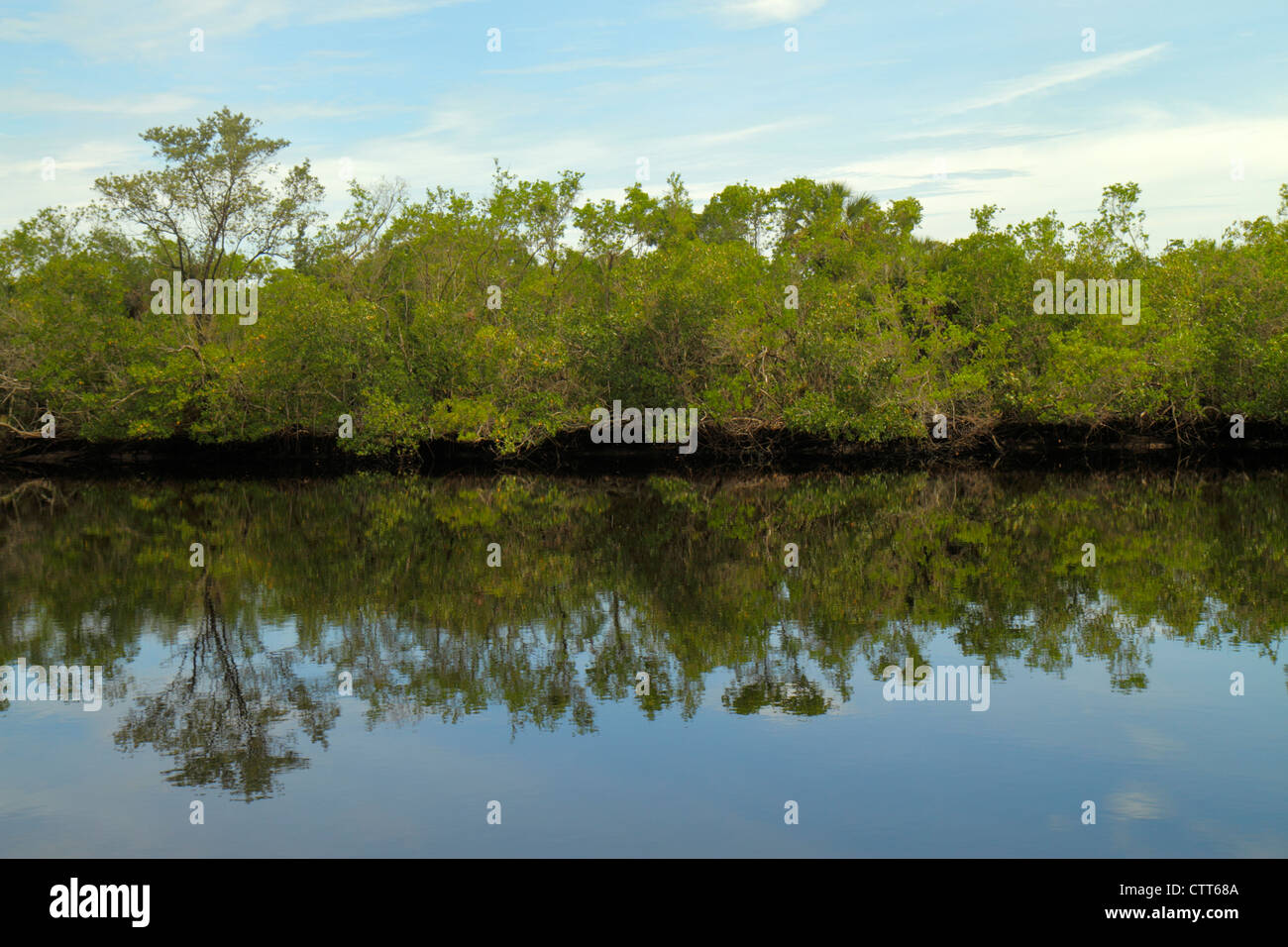 Naples Florida, Tamiami Trail, Collier Seminole state Park, Everglades Trail Nature Site, Blackwater River Water, mangrovie, visite turistiche Foto Stock
