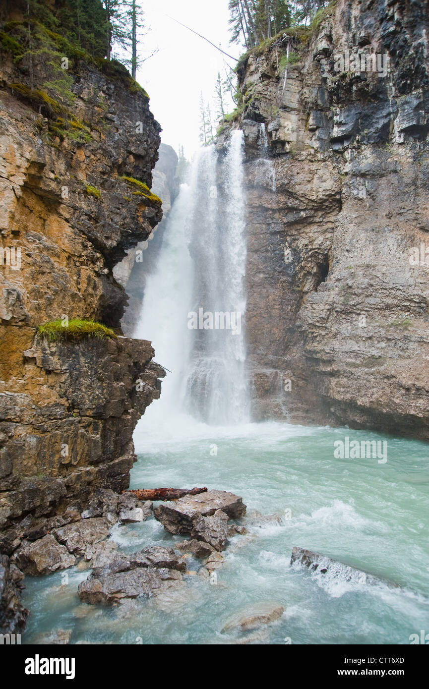 Johnston Creek e il Parco Nazionale di Banff in rapido movimento di acqua di ruscello cascata Foto Stock