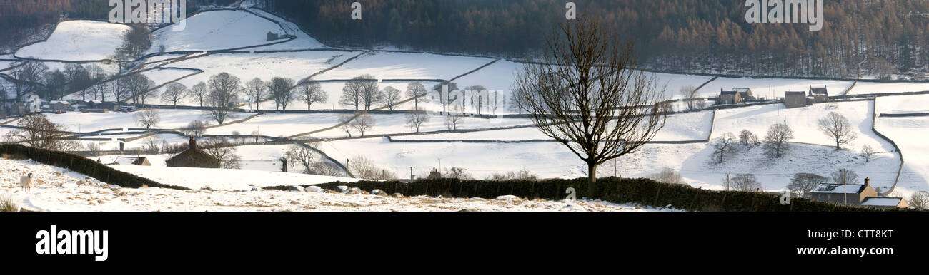 Panorama immagine di panorama di campi, foresta, fattoria nella neve vicino Barden nel Yorkshire Dales. Foto Stock