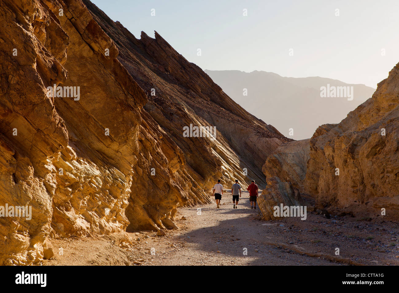 Golden Canyon, Death Valley, California Foto Stock