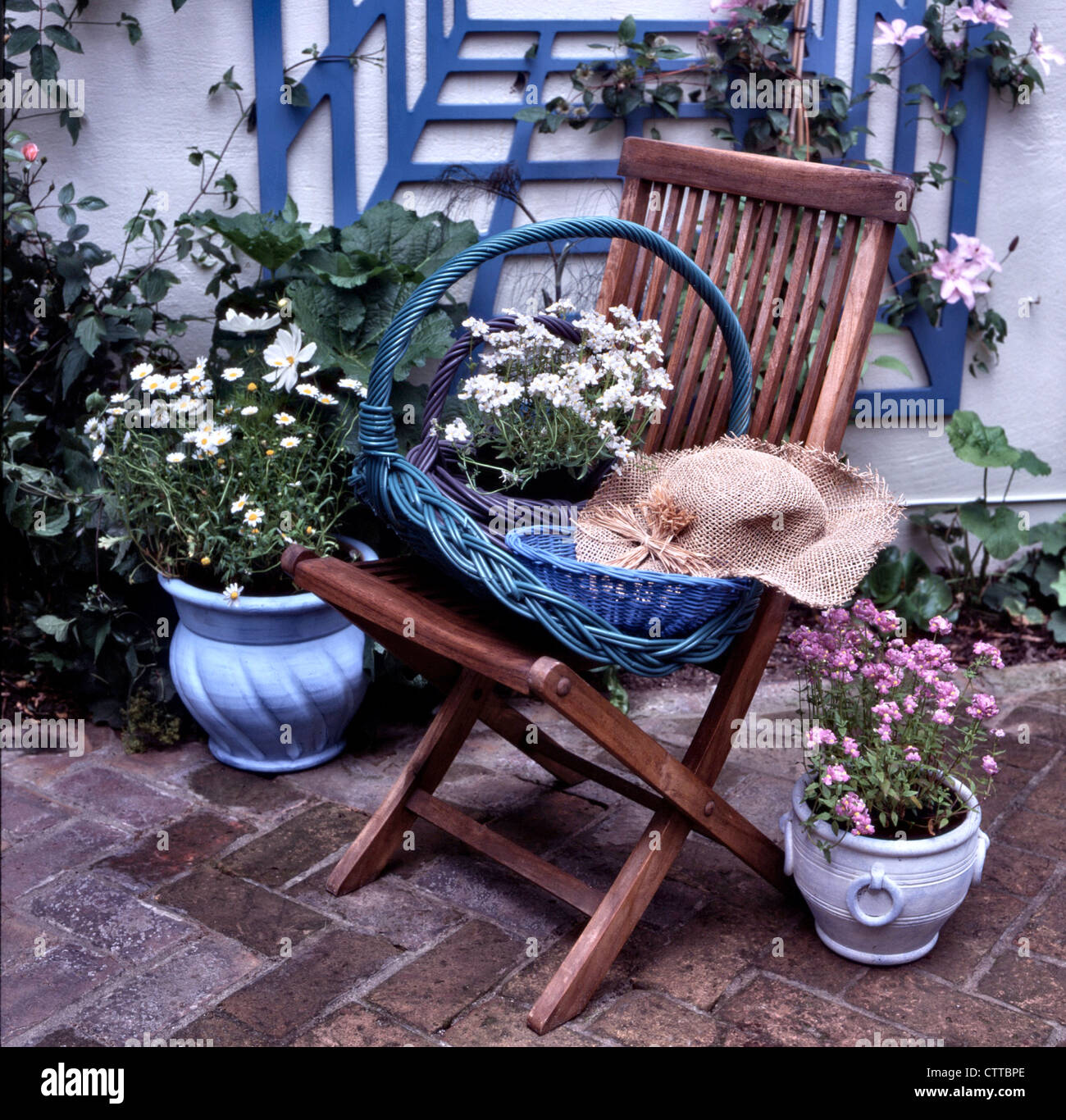 Per le piante in vaso in un cortile Urbano garden. Foto Stock