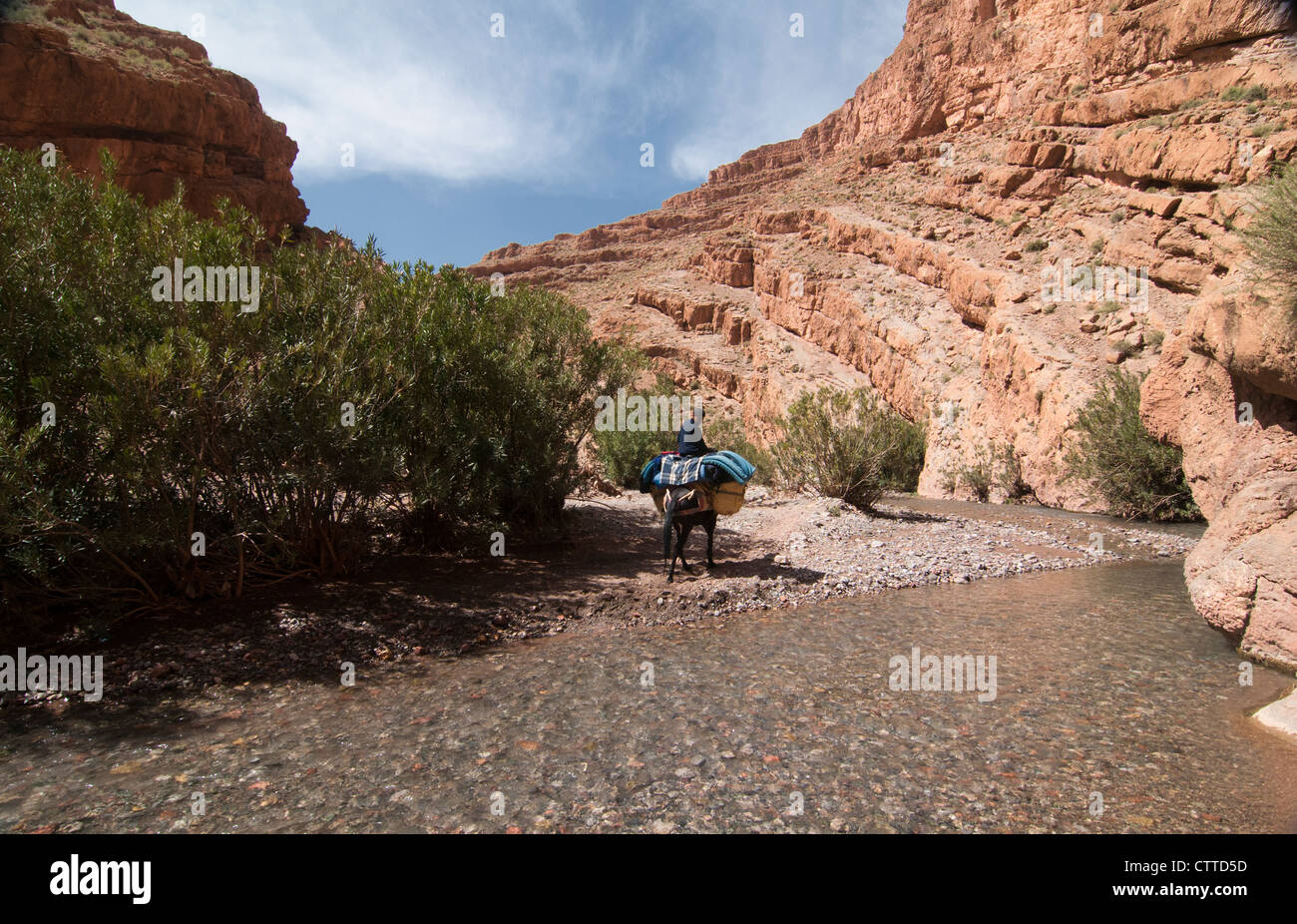 Trekking attraverso il M'Goun Gorges del sud montagne Atlas, Marocco Foto Stock