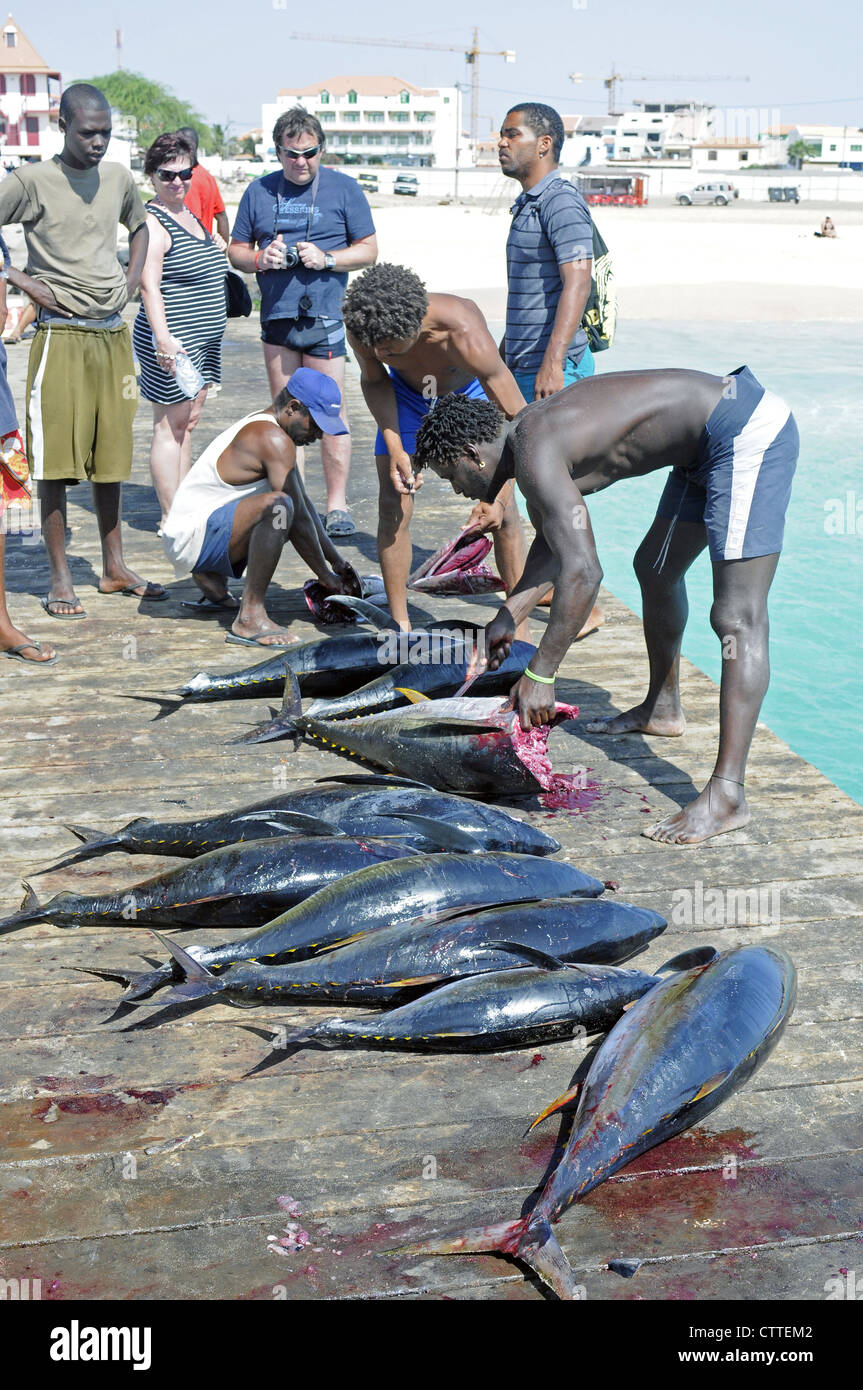 I pescatori di Santa Maria Isola di Sal Isole di Capo Verde Foto Stock