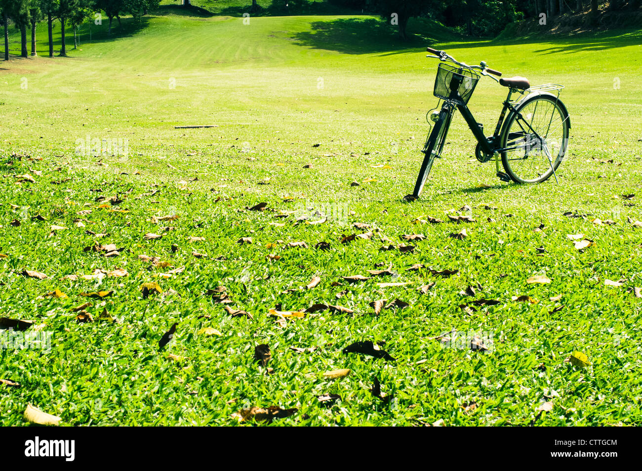 Una bicicletta è parcheggiata su erba verde campo. Foto Stock