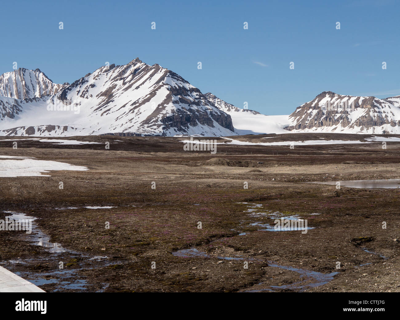 Tundra norvegese immagini e fotografie stock ad alta risoluzione - Alamy