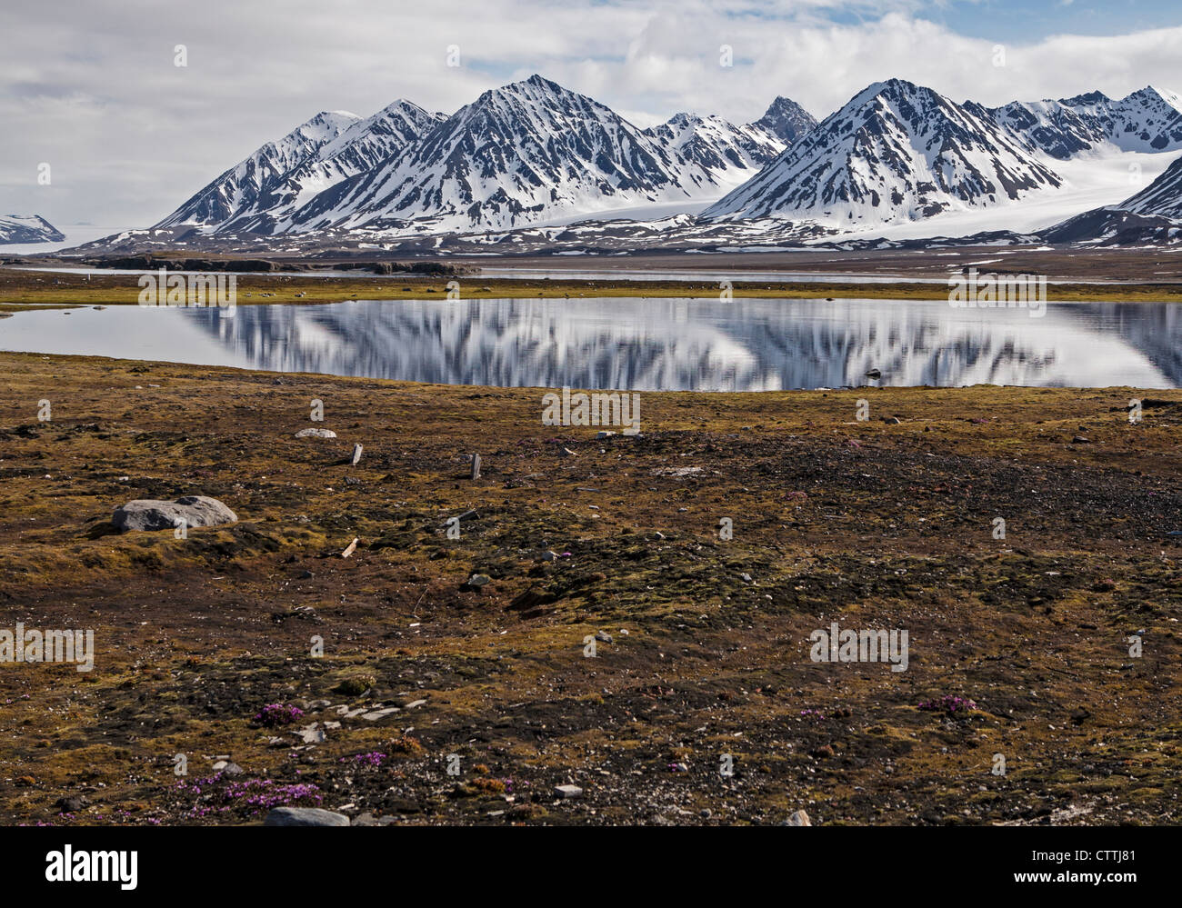 La tundra e neve acqua di fusione Ny Alesund Spitsbergen in Norvegia Foto Stock