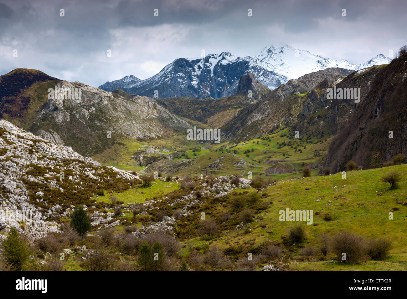 Una vista verso Cueto Salgaredo, Parco Nazionale Picos de Europa, Asturias, Foto Stock