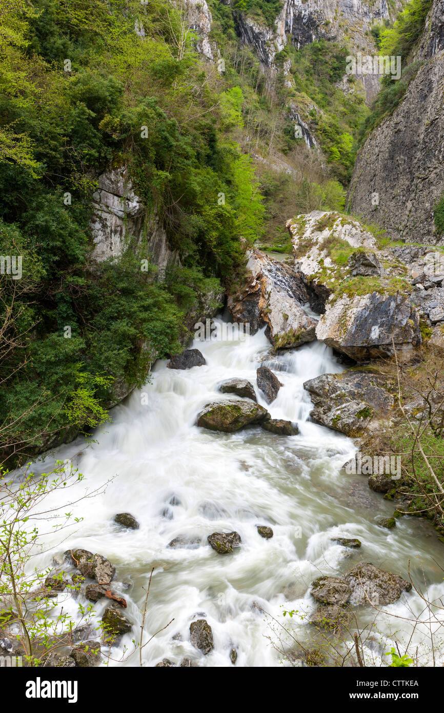 Desfiladero de los Beyos nel versante sud-ovest del Picos de Europa, Asturias, Spagna Foto Stock