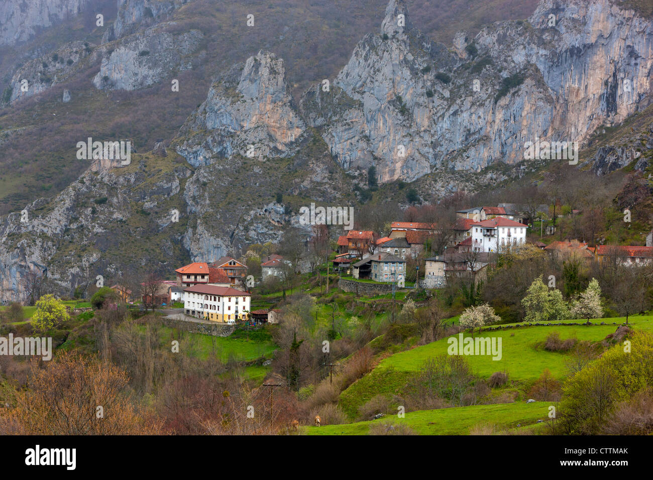 Cordiñanes, Parco Nazionale Picos de Europa, Castilla y Leon, Spagna Foto Stock