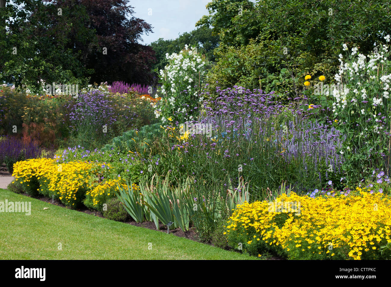 Lungo confine della RHS Wisley Gardens. Surrey, Inghilterra Foto Stock