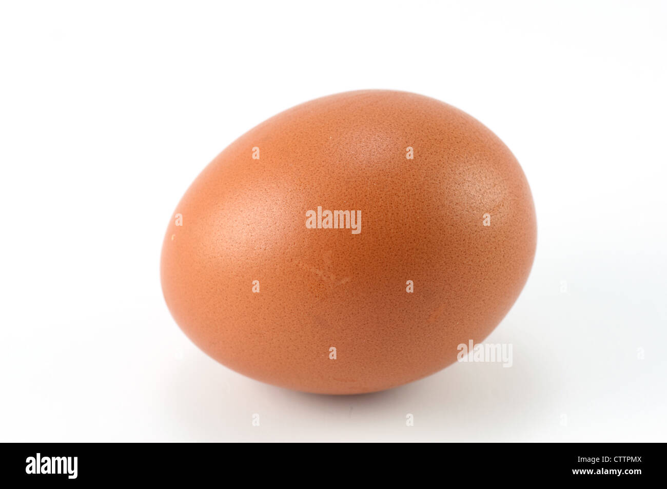 Un uovo su sfondo bianco Foto Stock
