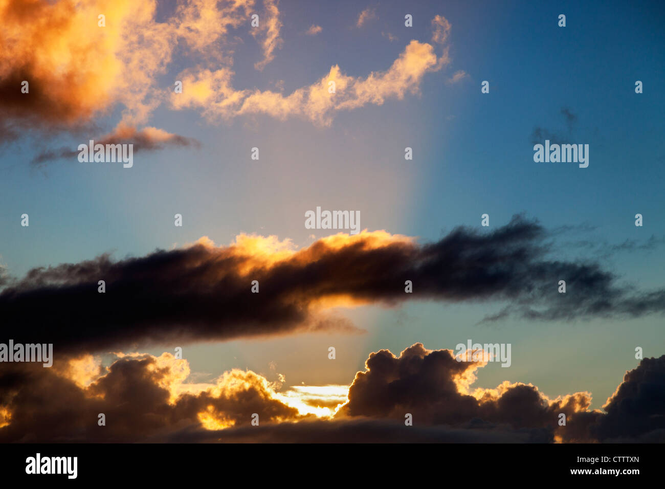 Tramonto da Victoria Hill, Wellington, Nuova Zelanda 2 Foto Stock