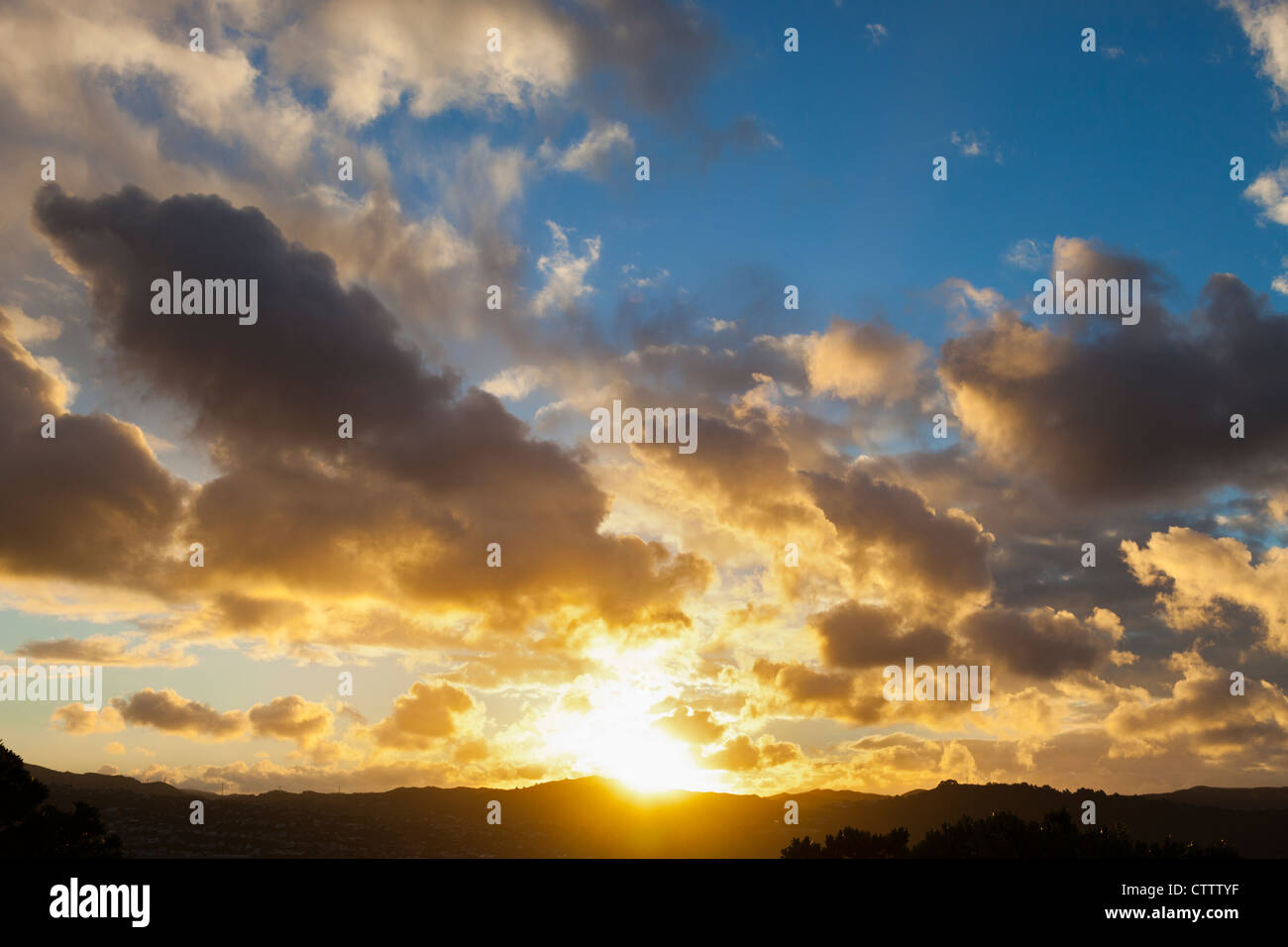 Tramonto da Victoria Hill, Wellington, Nuova Zelanda Foto Stock