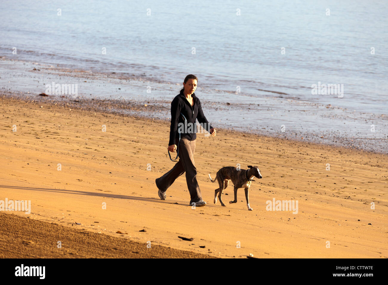 Passeggiate con il cane sulla spiaggia, la Baia delle Isole, Nuova Zelanda Foto Stock