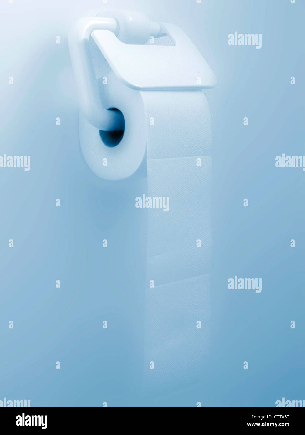 Eine Rolle weißes Toilettenpapier Halter im Foto Stock