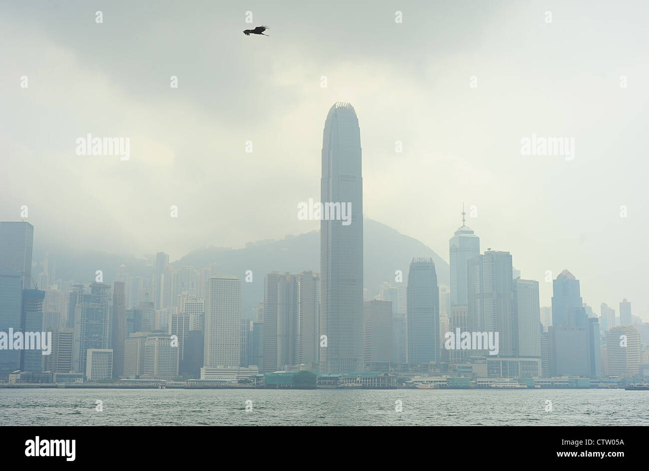 Eagle volare al di sopra della Hong Kong grattacieli Foto Stock