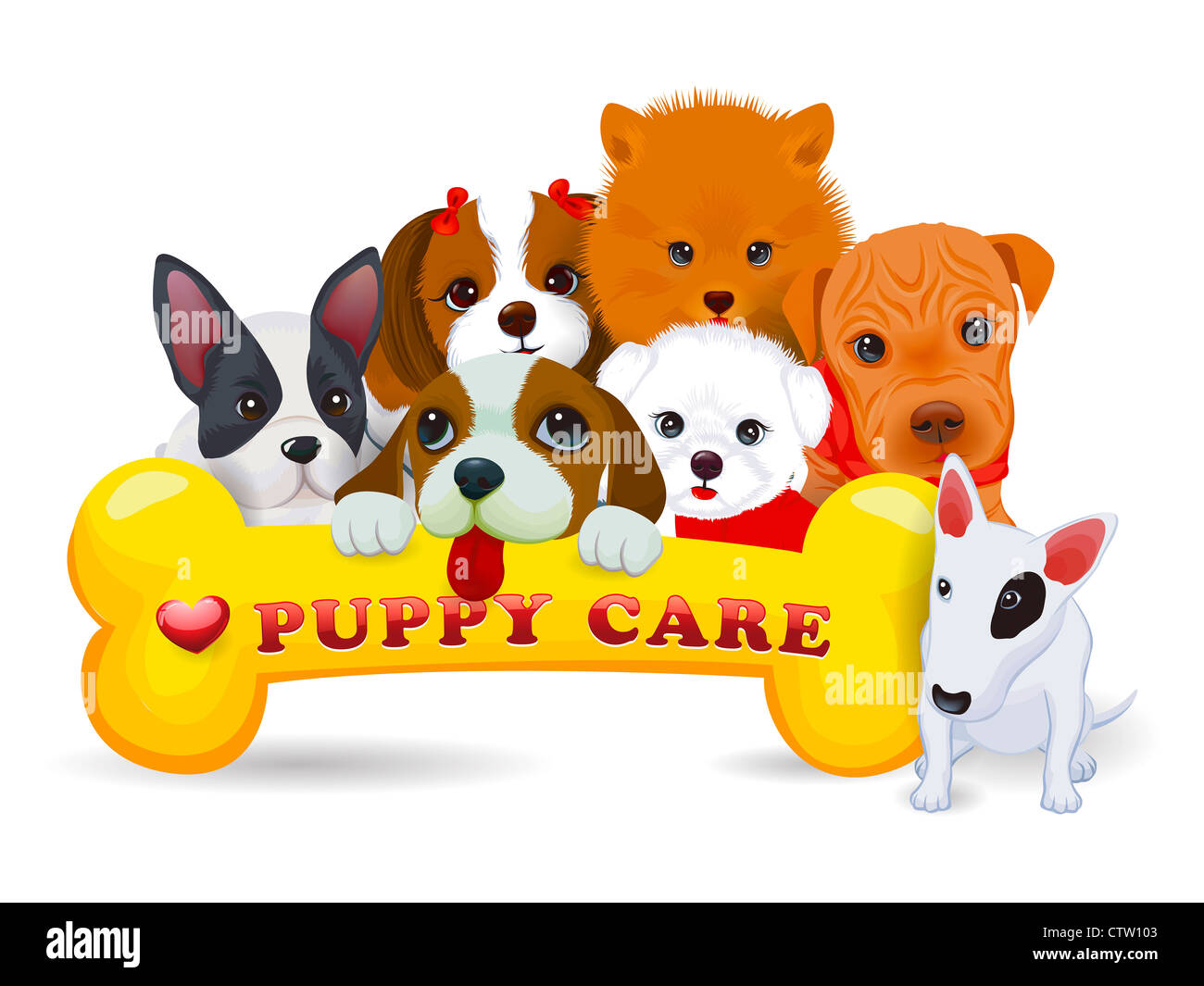 Illustrazione di diverse razze di cani e osso Foto Stock