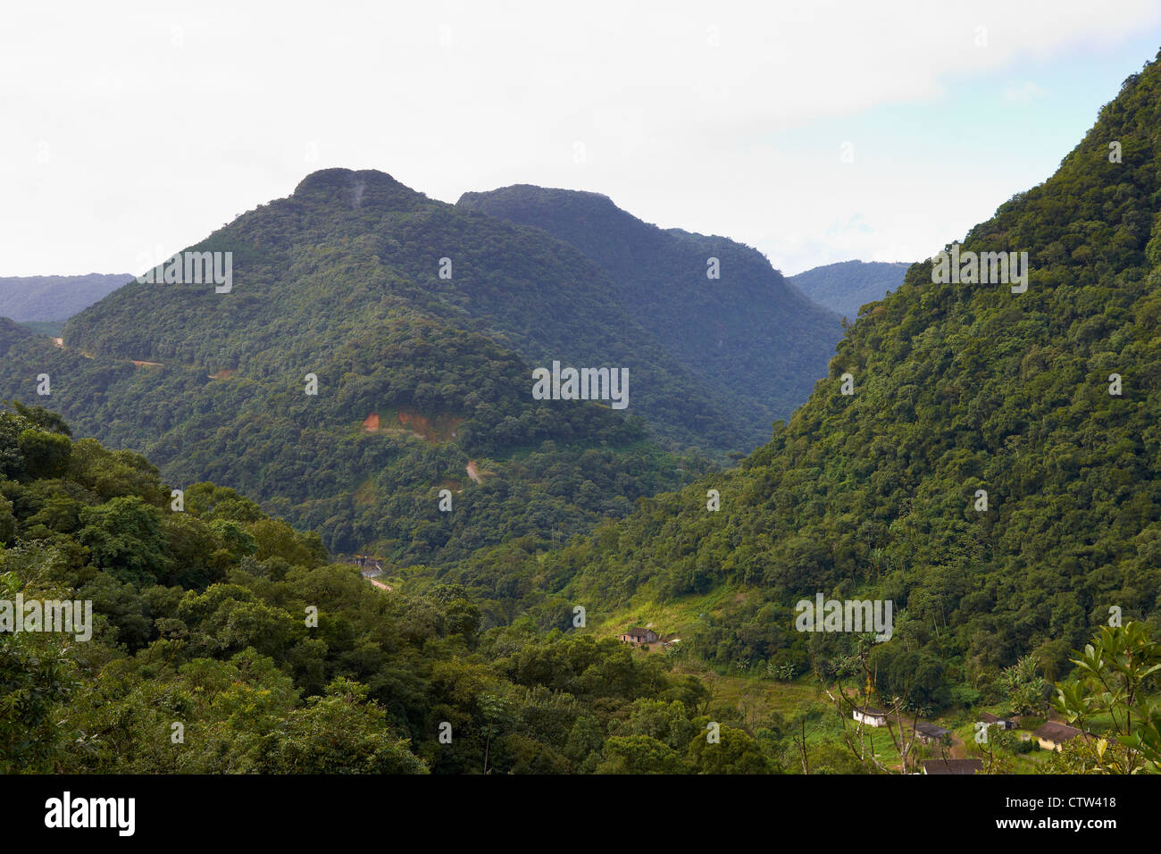Colline e valli di 'Serra do Mar' Foto Stock