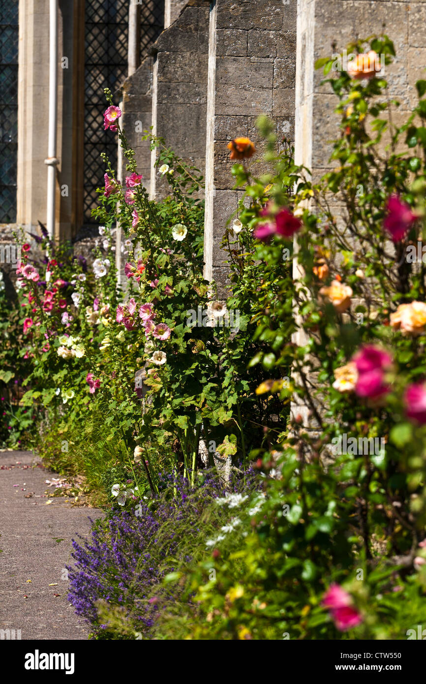 Hollyhocks e altri fiori estivi Foto Stock