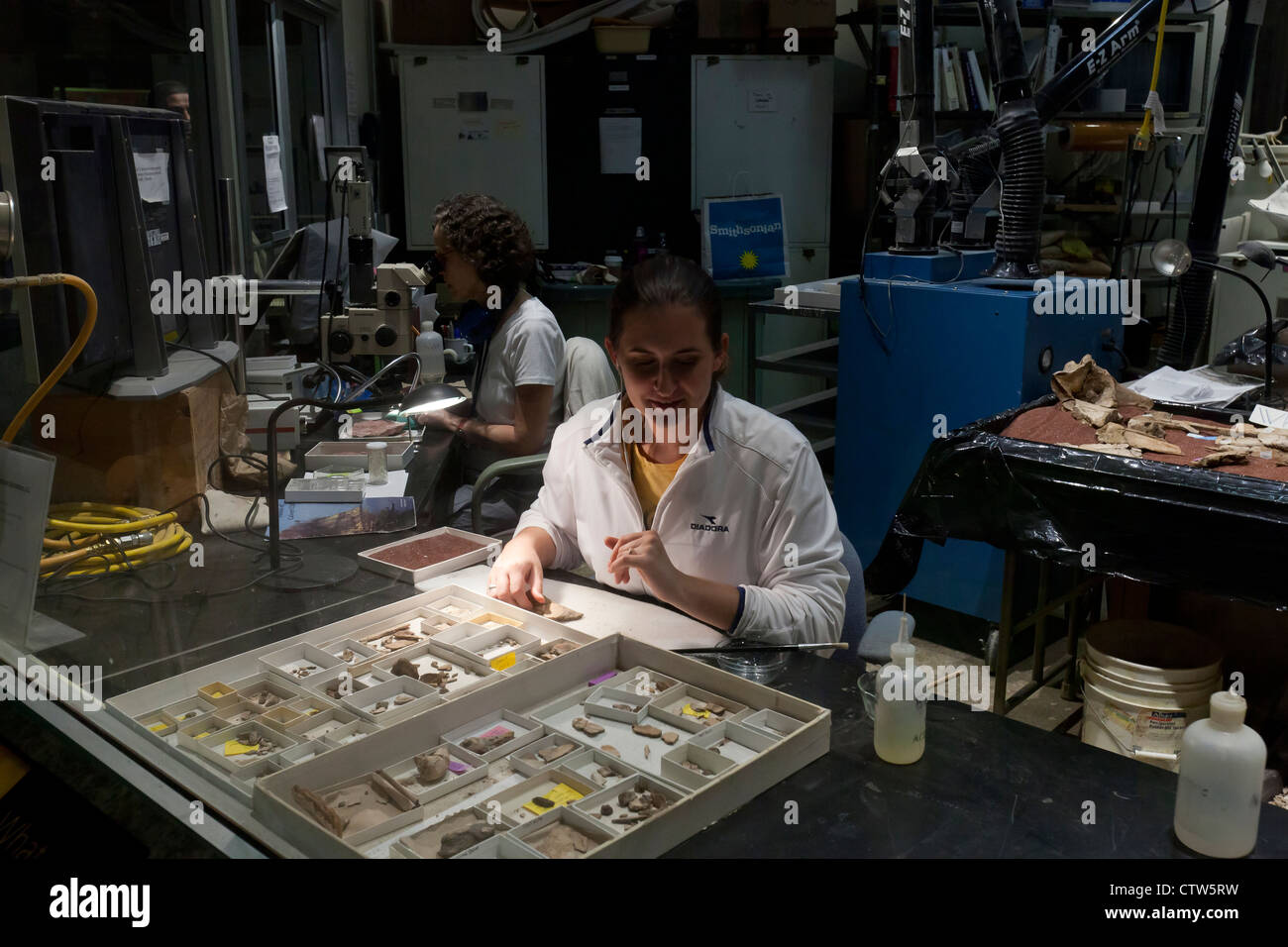 Un archeologo organizzazione di osso frammenti fossili in laboratorio - USA Foto Stock