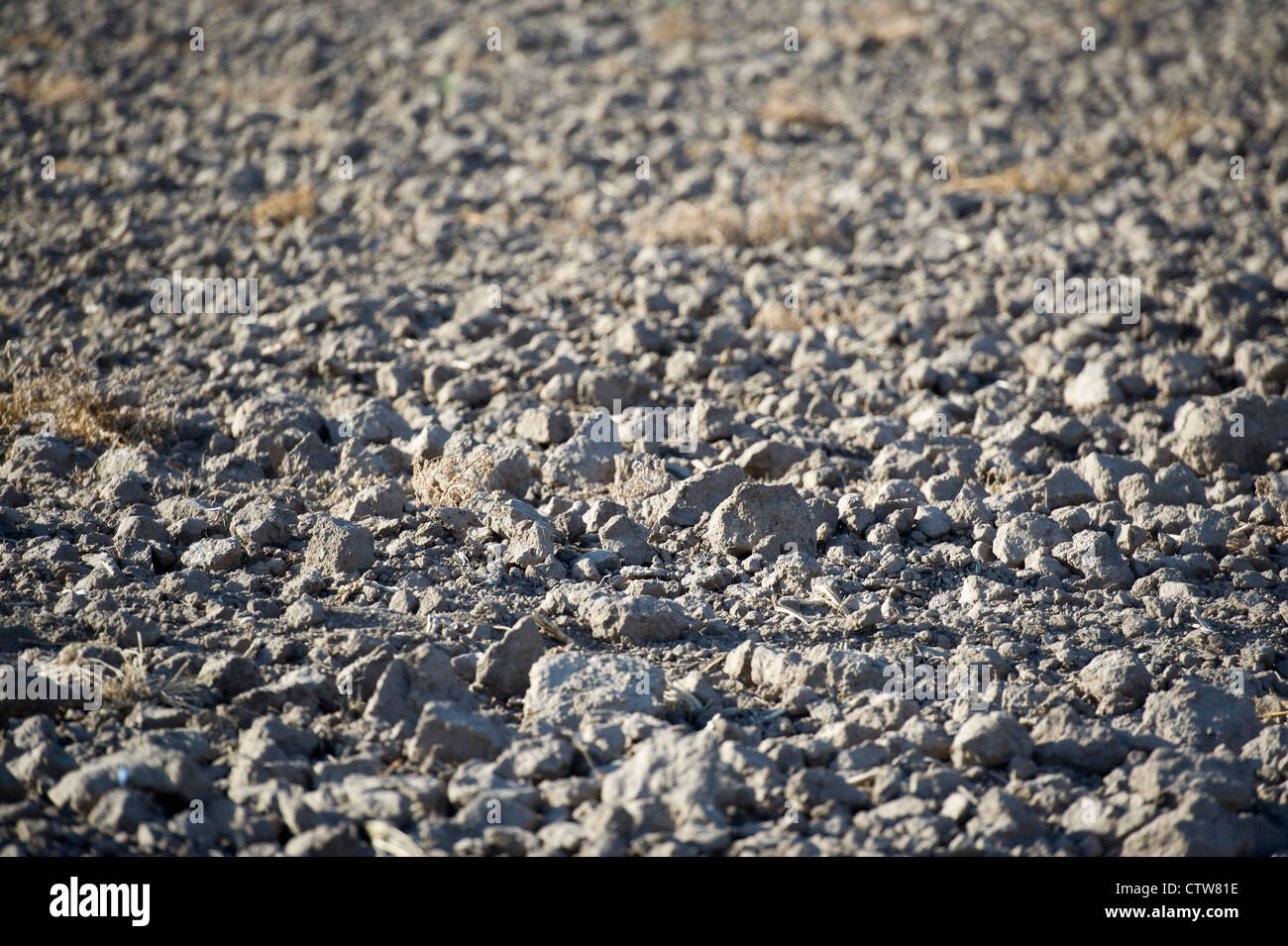 Secco, girato poco profonda campo durante la grave siccità in Kansas, Stati Uniti d'America. Foto Stock