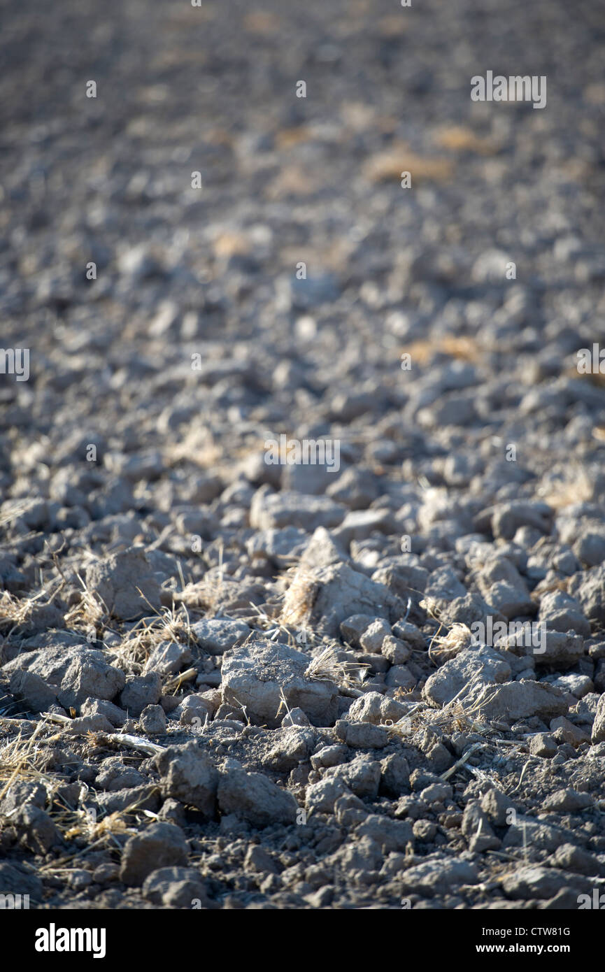 Secco, girato poco profonda campo durante la grave siccità in Kansas, Stati Uniti d'America. Foto Stock