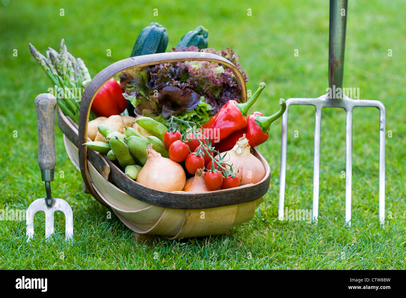 Appena raccolto cresciuto in casa british verdure in un tradizionale sussex trug in legno con la mano la forcella e un giardino forcella su un prato Foto Stock