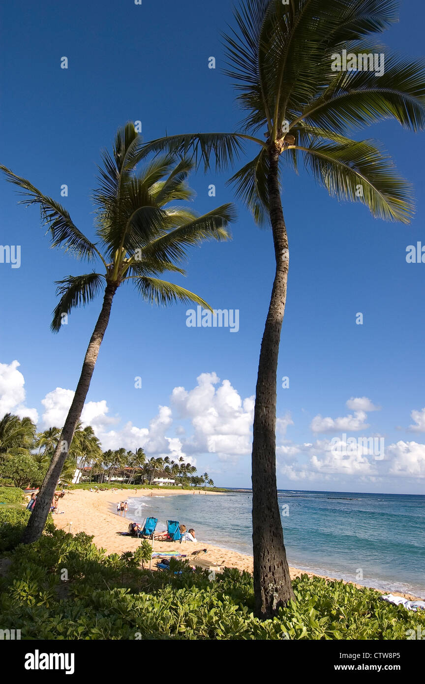 Elk284-7105v Hawaii, Kauai, Poipu Beach, le persone che si godono la spiaggia Foto Stock