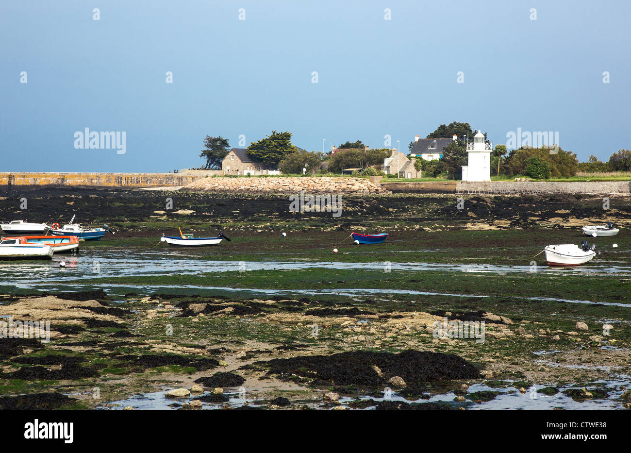 Francia, Normandia, Barfleur, vista del porto con la bassa marea Foto Stock