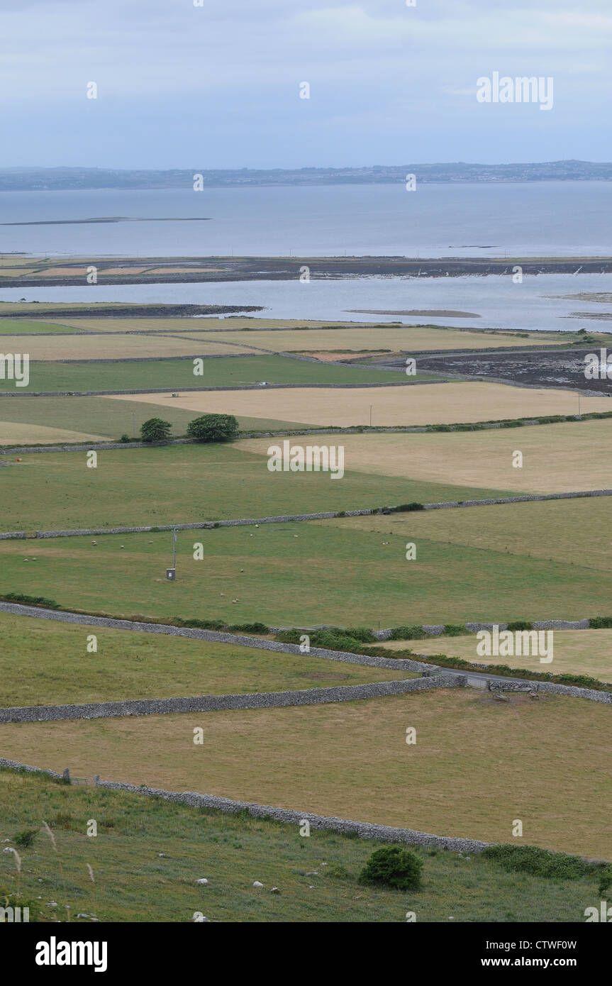 Il Burren, County Clare, una patch il lavoro dei campi sono contrassegnati da muretti a secco in pietra confini della costa atlantica dell'Irlanda. Foto Stock