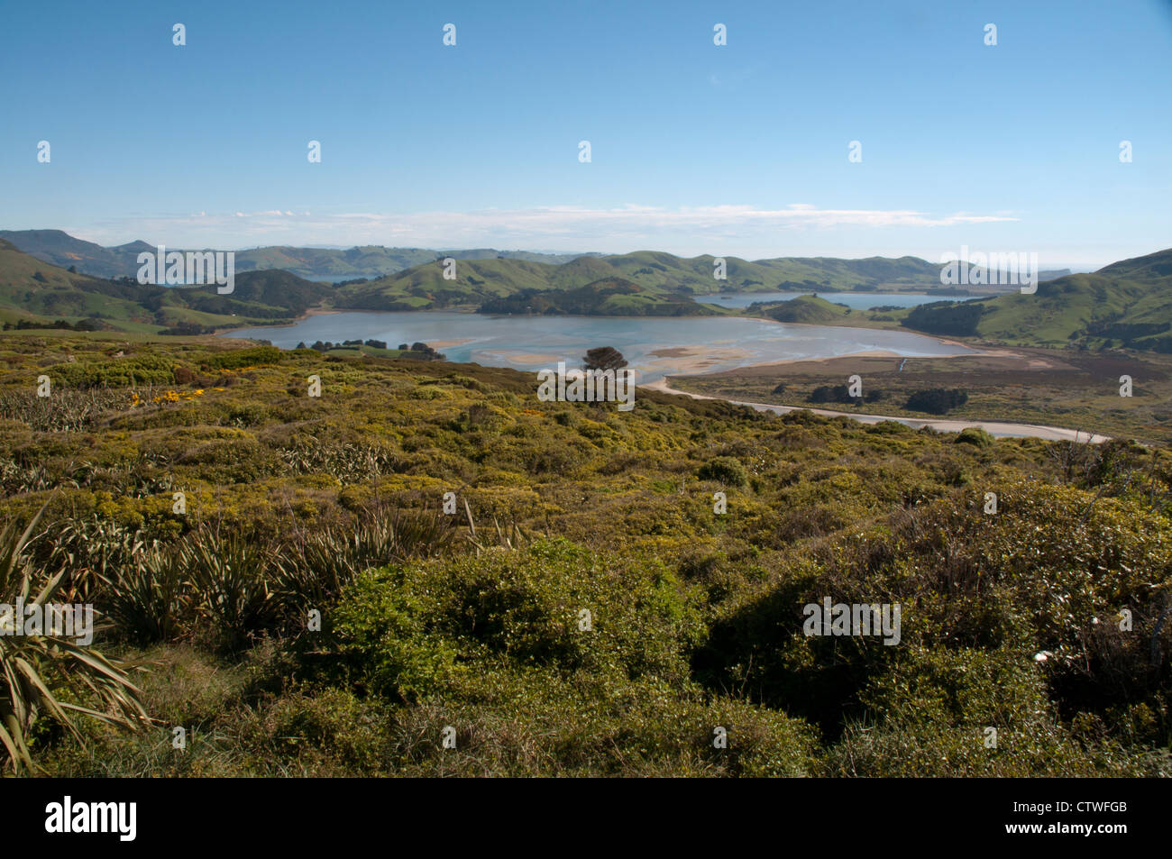Vista dalla penisola di Otago al Porto di Otago in Nuova Zelanda. Blick von der Otago-Halbinse zur Otago-Buchtl in Neuseeland. Foto Stock