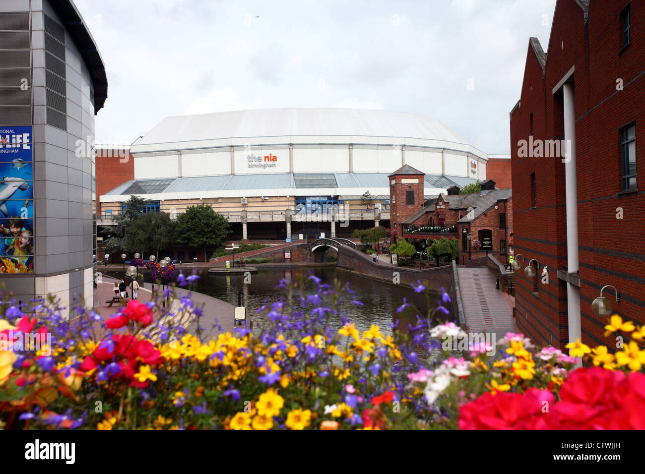 La National Indoor Arena, Birmingham REGNO UNITO Foto Stock