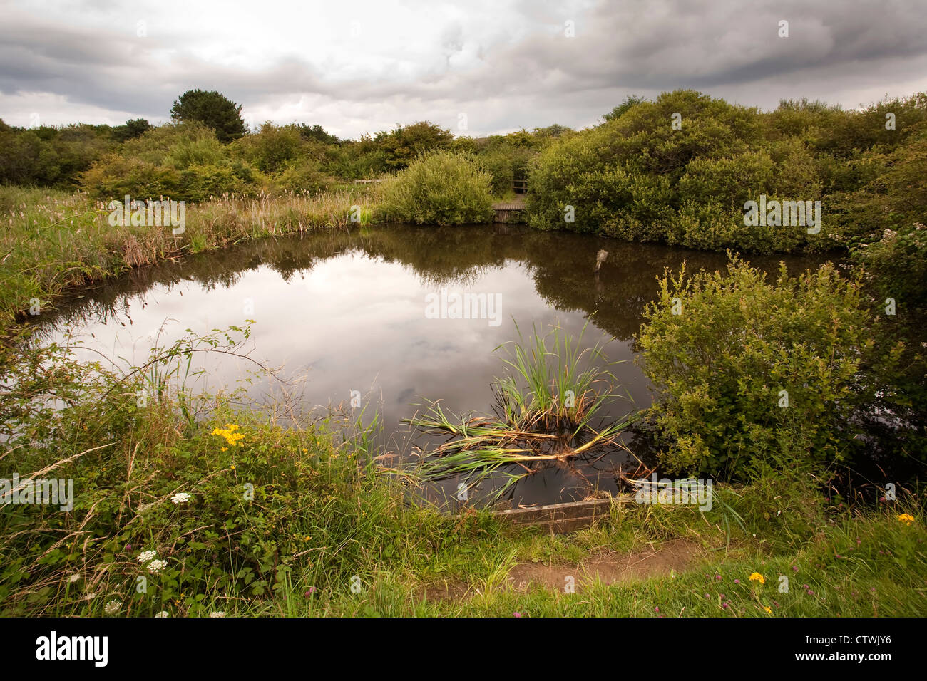 Una delle piccole piscine d'acqua fresca trovato su Thurstaston scogliere e parco per i visitatori. Foto Stock