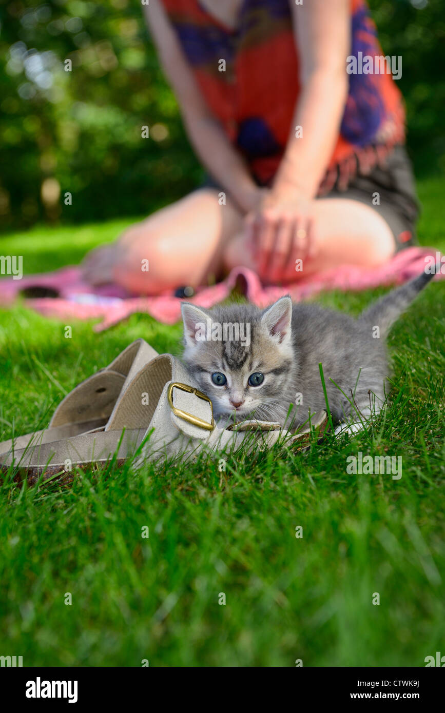 Cauto cucciolo femmina all'aperto di attaccare le scarpe sul prato con la donna la visione di Toronto Foto Stock
