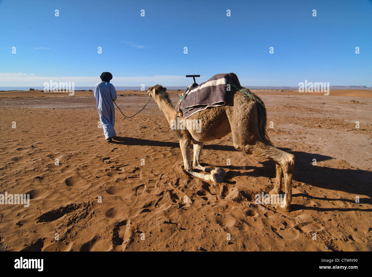 Un riff e il suo cammello nel deserto del Sahara presso Erg Chigaga, Marocco Foto Stock