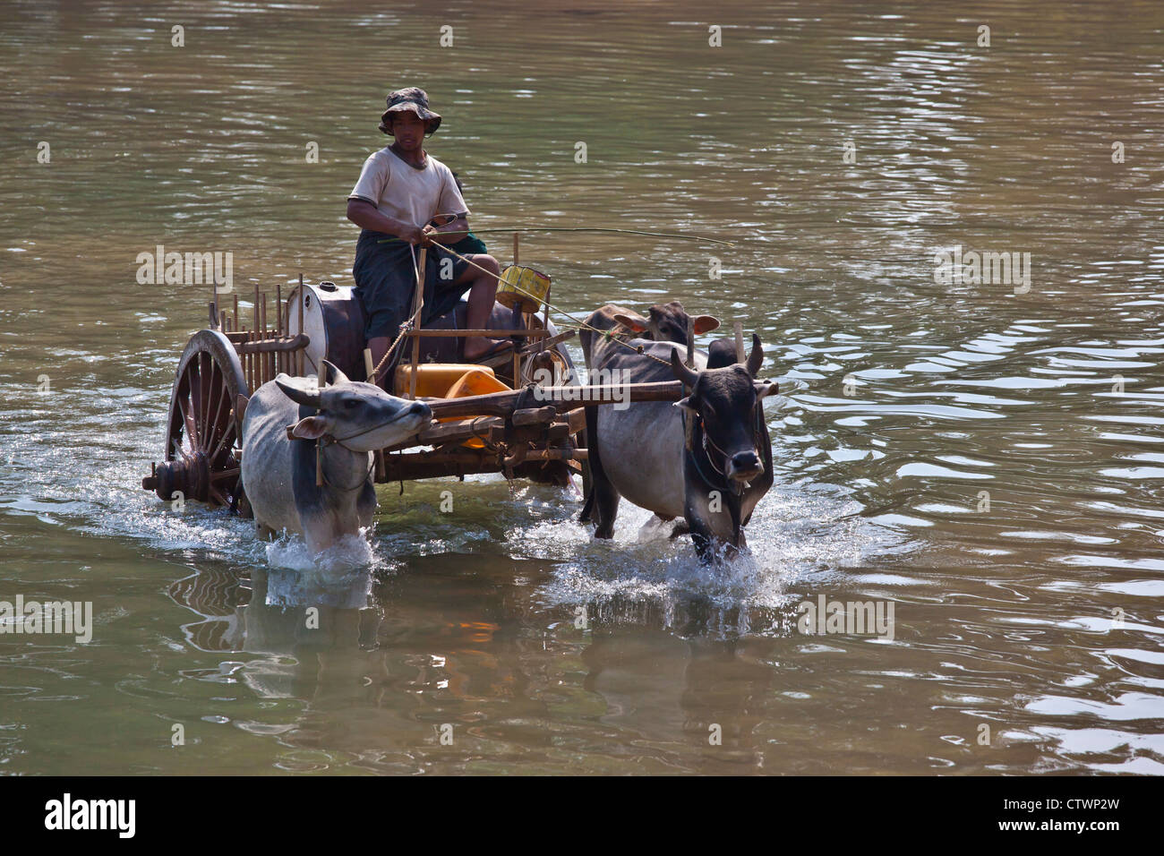 Un bue carrello viene utilizzato per il trasporto a INDEIN - Lago Inle, MYANMAR Foto Stock