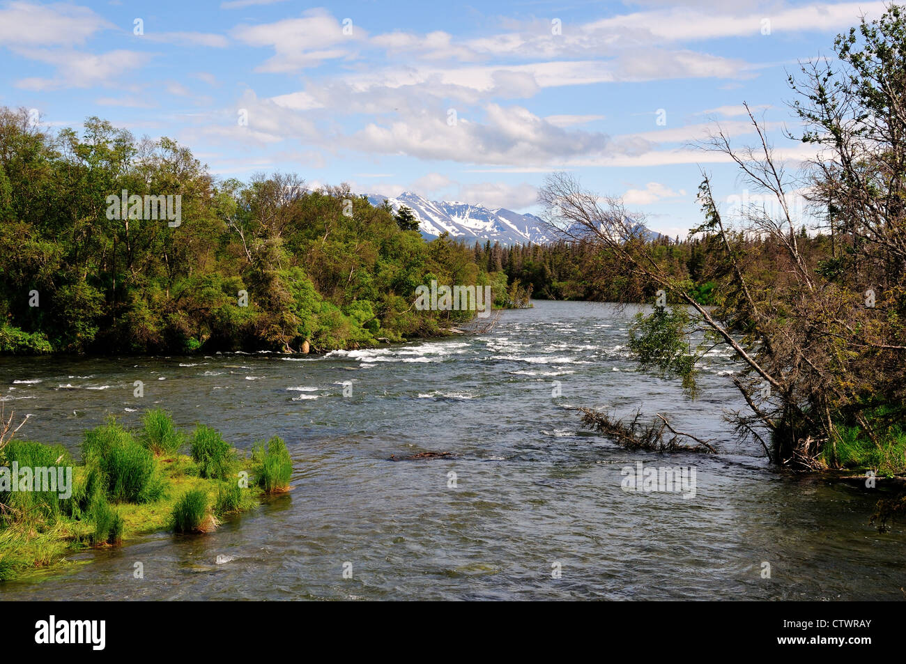 Brooks fiume sotto le cascate. Parco Nazionale e Riserva di Katmai. Alaska, Stati Uniti d'America. Foto Stock