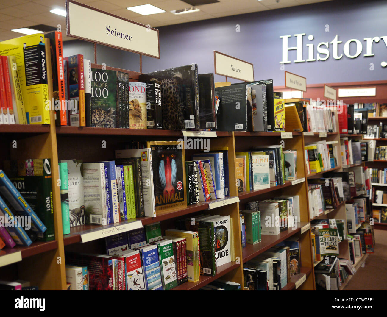 Book store interior accantonare sezione libri Foto Stock