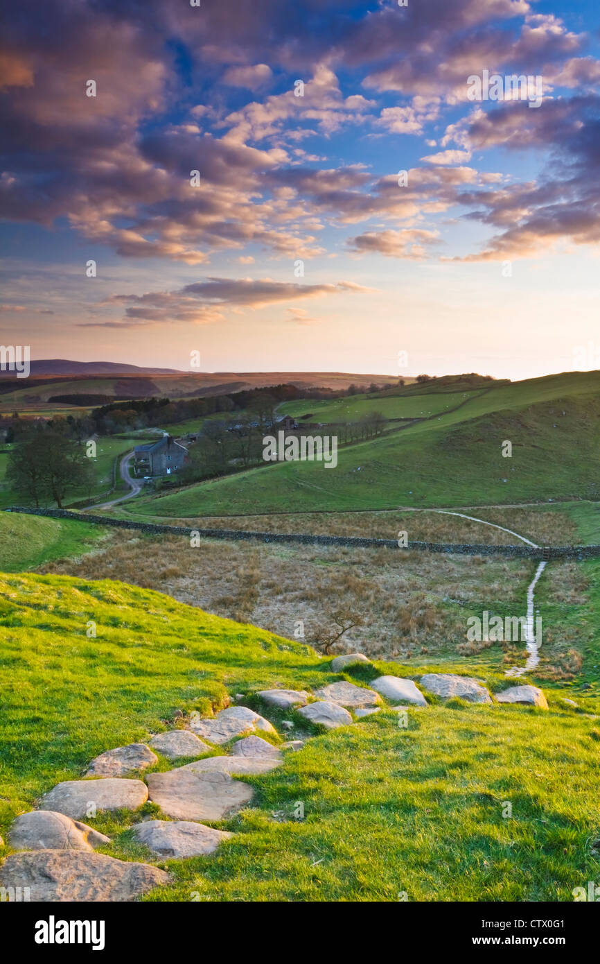 Vista da "Re Artù bene' sul vallo di Adriano traiettoria vicino Walltown, Northumberland, Inghilterra Foto Stock