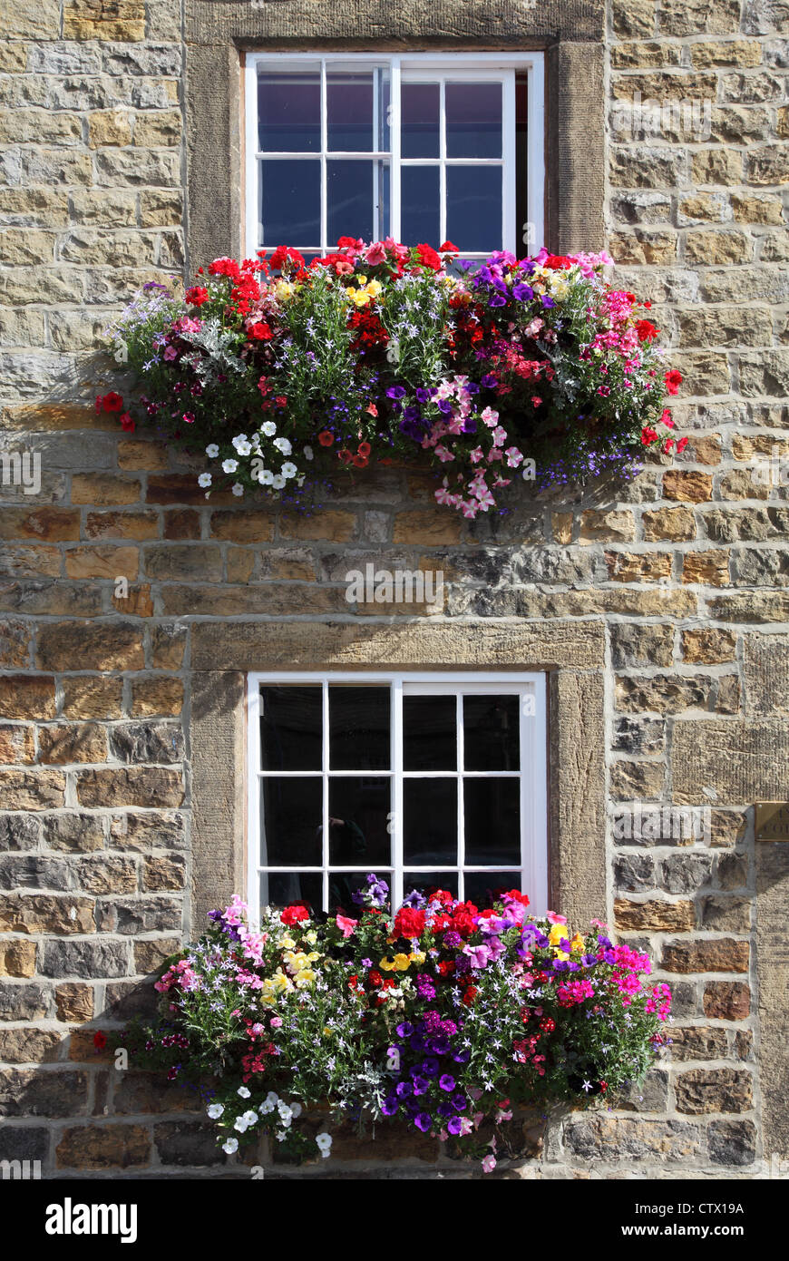 Colorate le caselle della finestra al di fuori di una pietra costruito casa a Masham, nello Yorkshire, Inghilterra, Regno Unito Foto Stock
