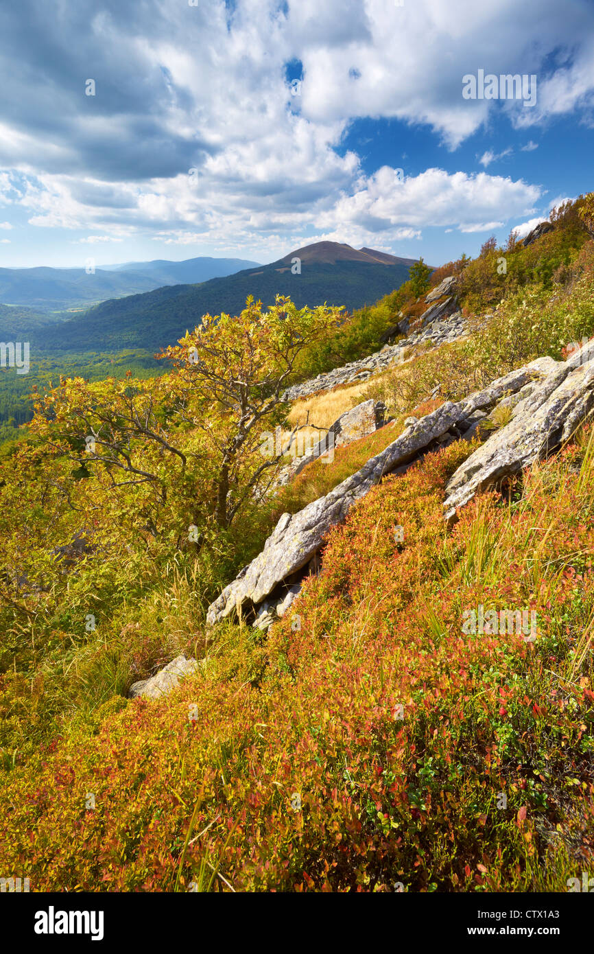 Bieszczady National Park, Polonia, Europa Foto Stock