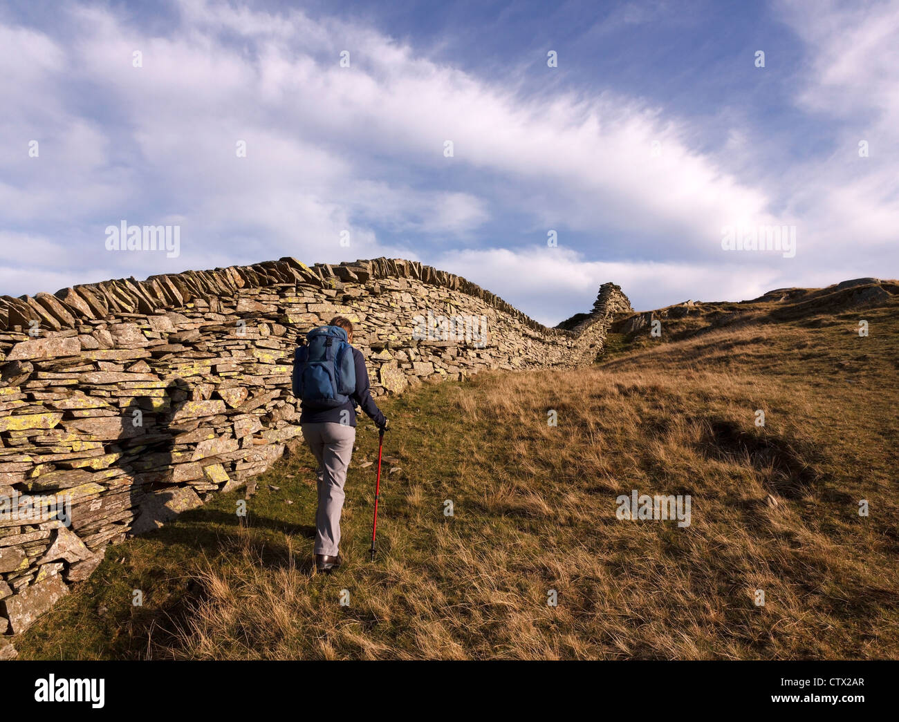Il camminatore in collina su un vecchio muro di ardesia in pietra a secco su Lingmoor è caduto contro il cielo blu con le nuvole di Cirrus, Lake District, Cumbria, Inghilterra, Regno Unito Foto Stock