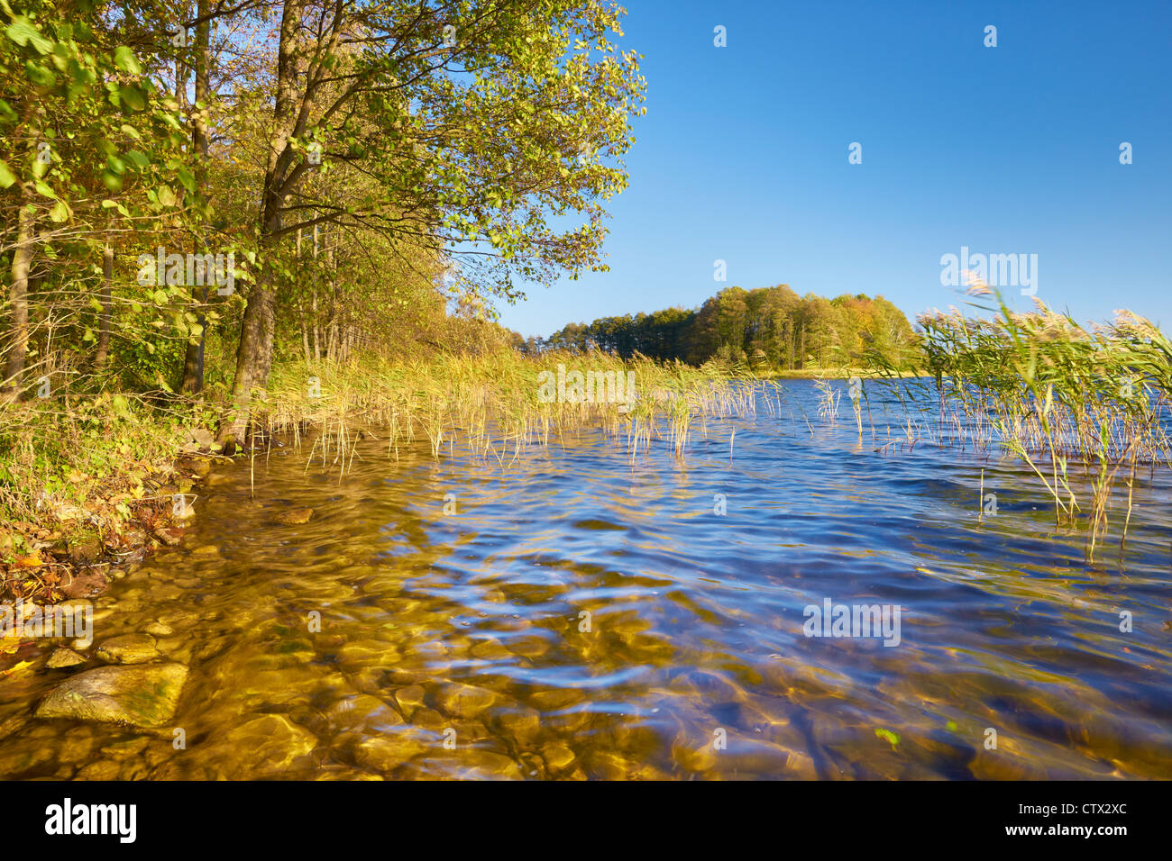 Suwalki Landscape Park, Czarna Hancza Lago, Polonia, Europa Foto Stock